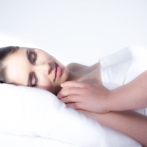 propriété du Studio Frequencia